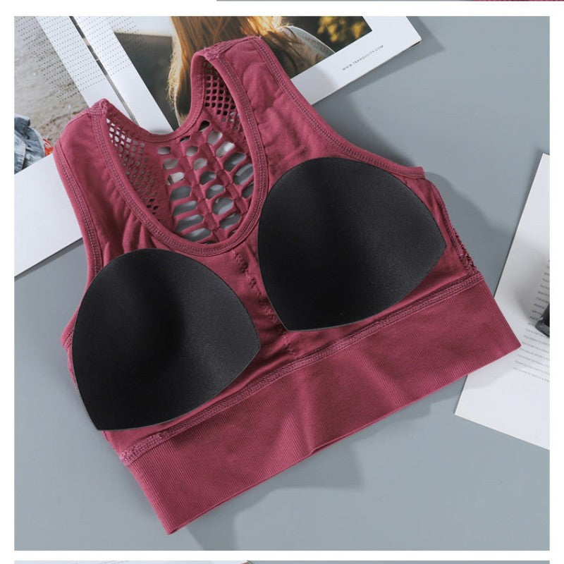 Women Sports Bra Mesh Top